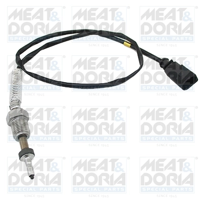 Sensor, exhaust gas temperature